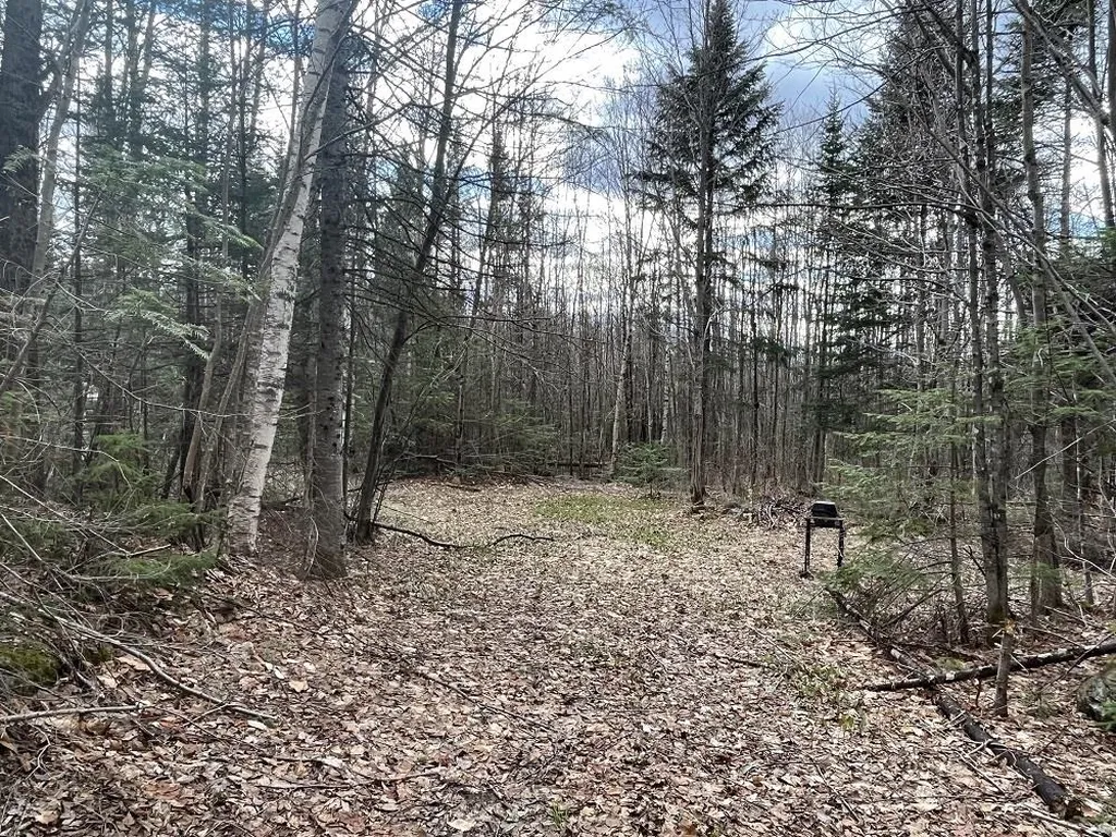 0 Tug Mountain Road Lunenburg VT 05906