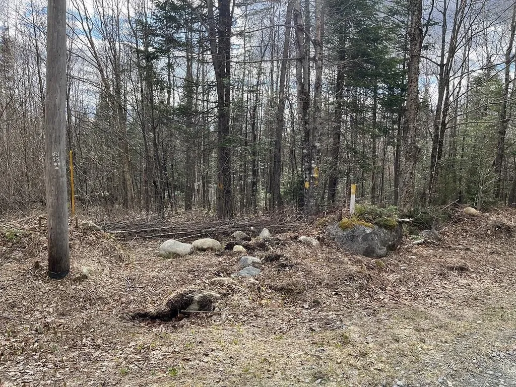 0 Tug Mountain Road Lunenburg VT 05906