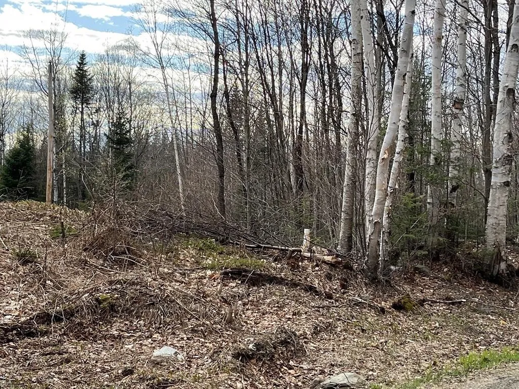 0 Tug Mountain Road Lunenburg VT 05906