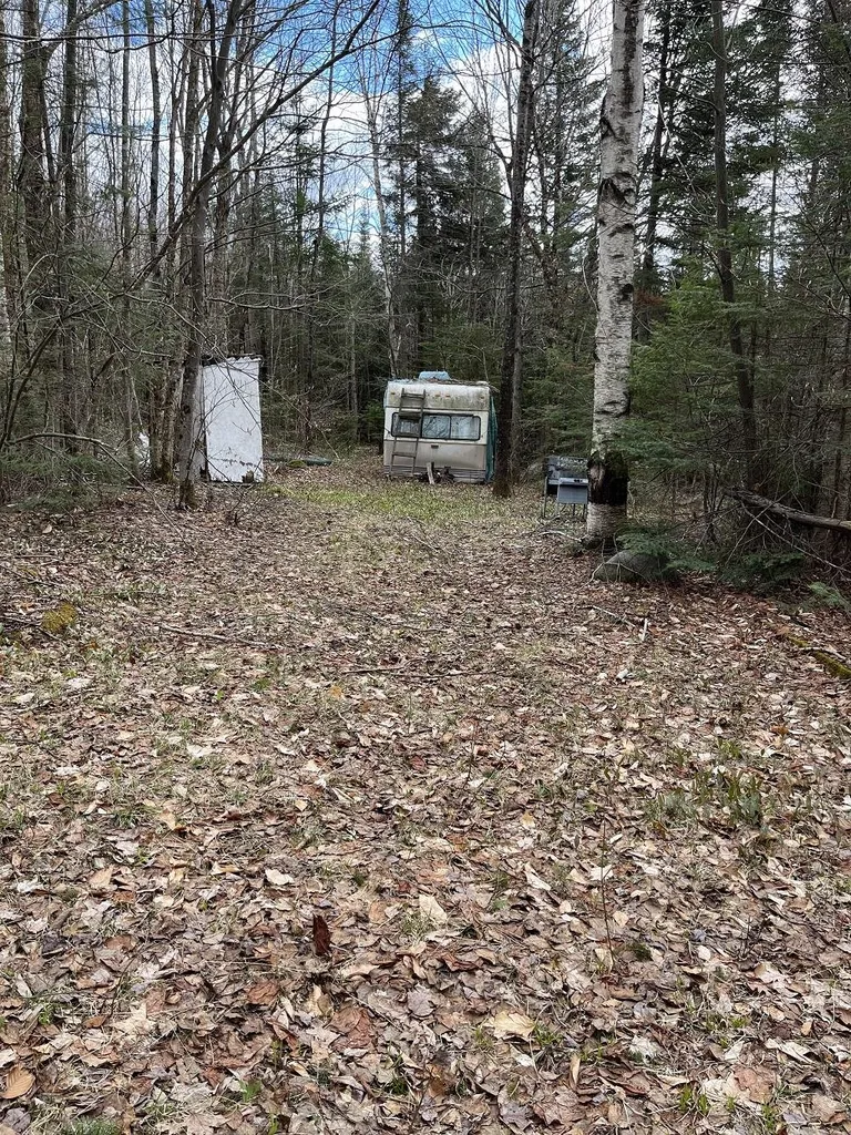 0 Tug Mountain Road Lunenburg VT 05906
