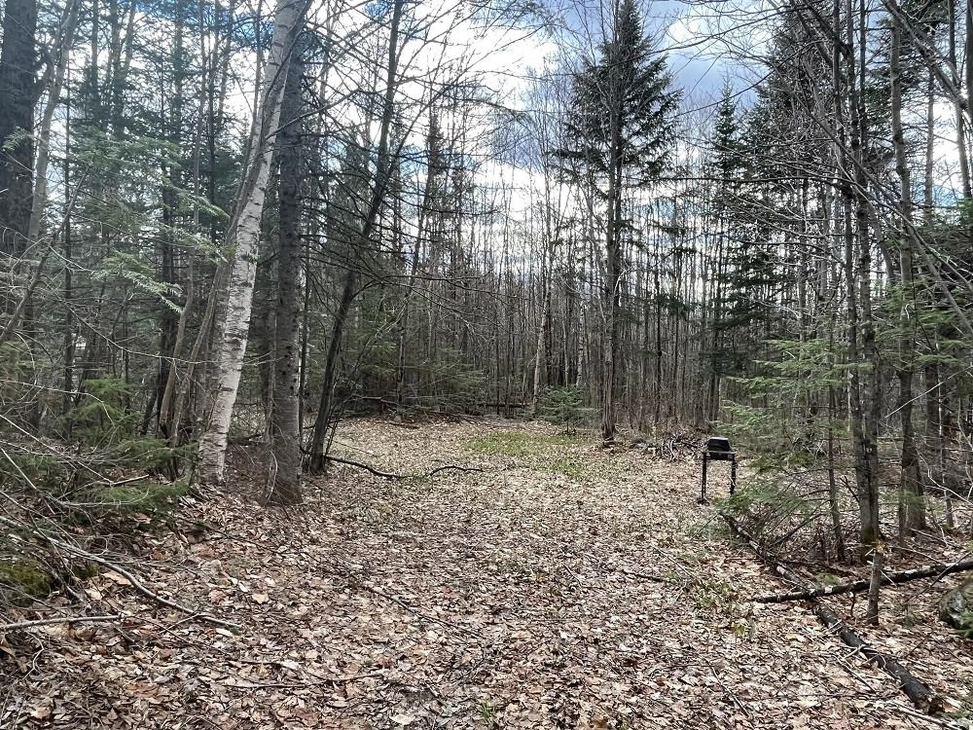 0 Tug Mountain Road Lunenburg VT 05906
