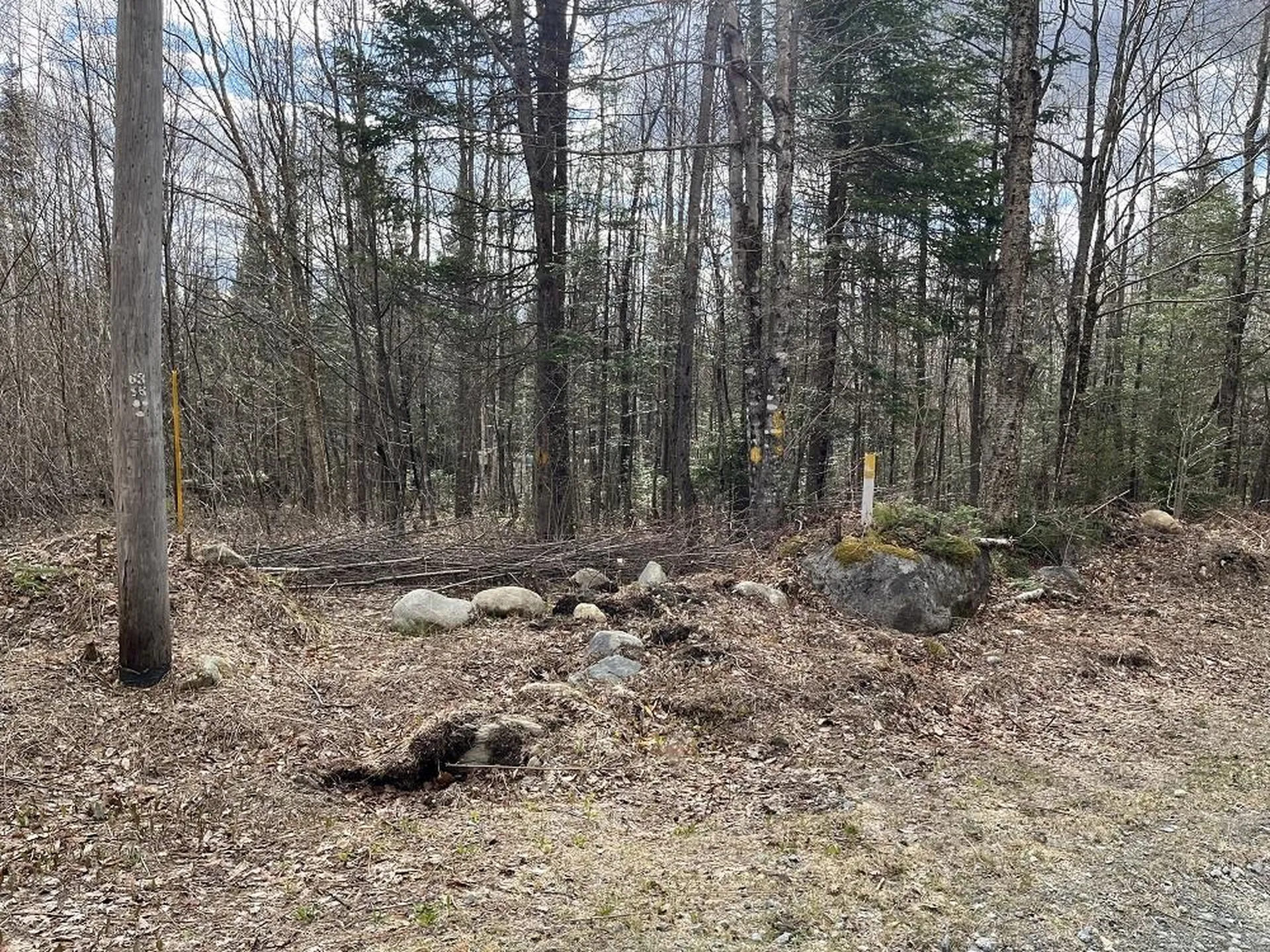 0 Tug Mountain Road Lunenburg VT 05906
