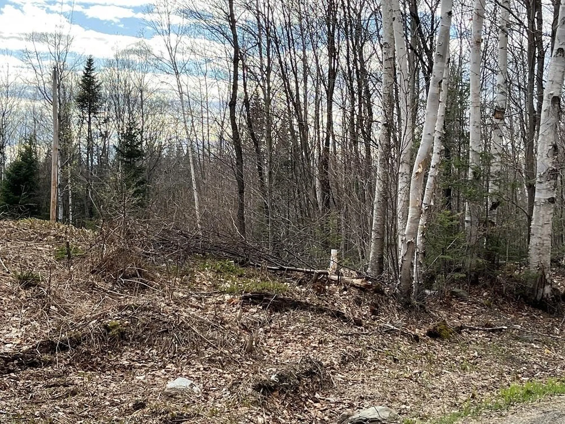 0 Tug Mountain Road Lunenburg VT 05906