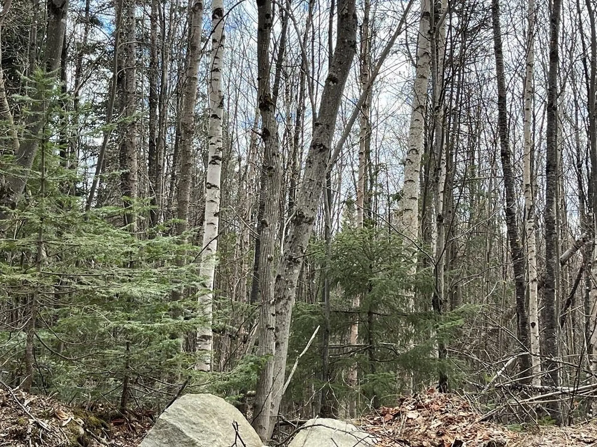 0 Tug Mountain Road Lunenburg VT 05906