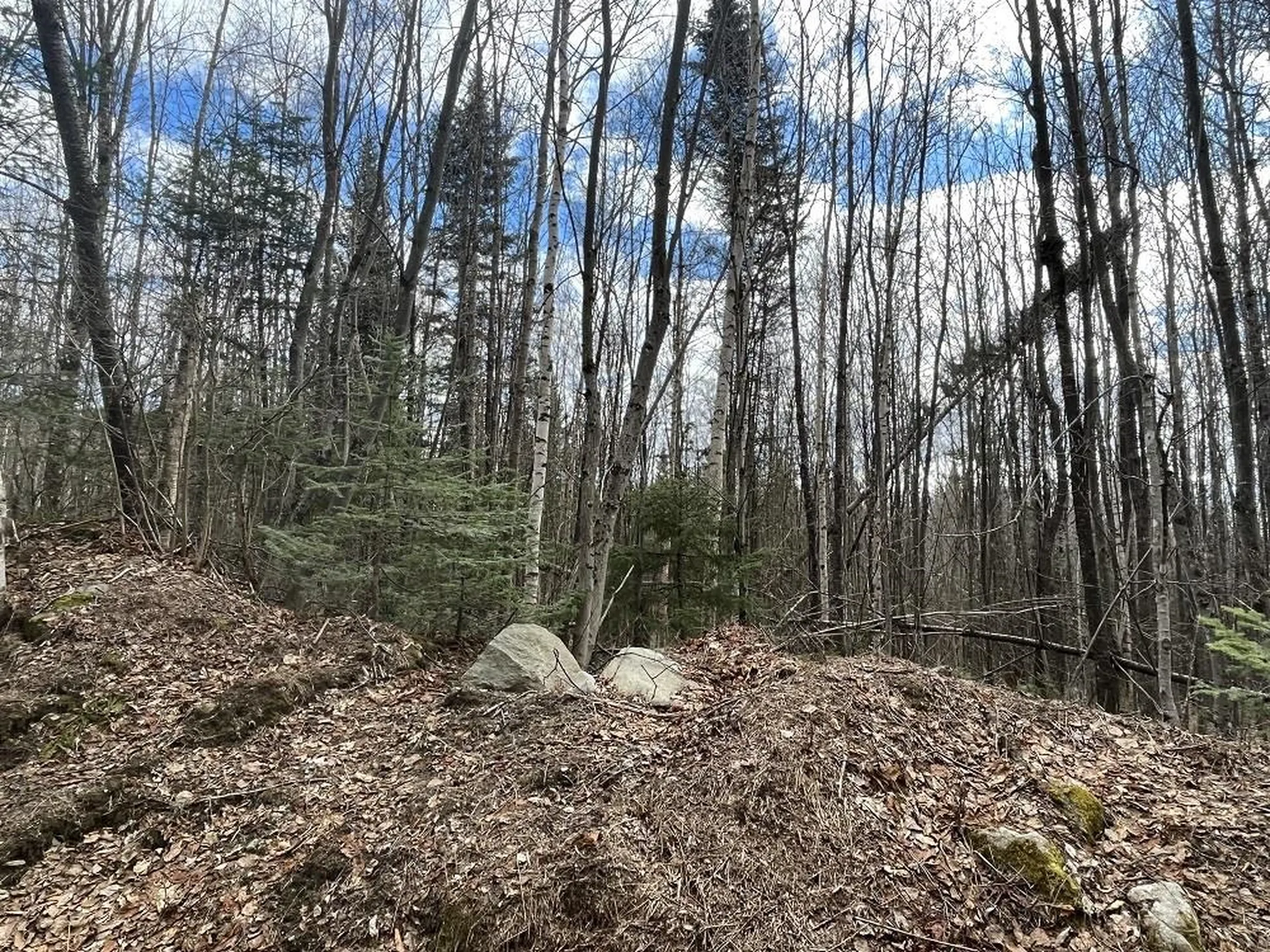0 Tug Mountain Road Lunenburg VT 05906