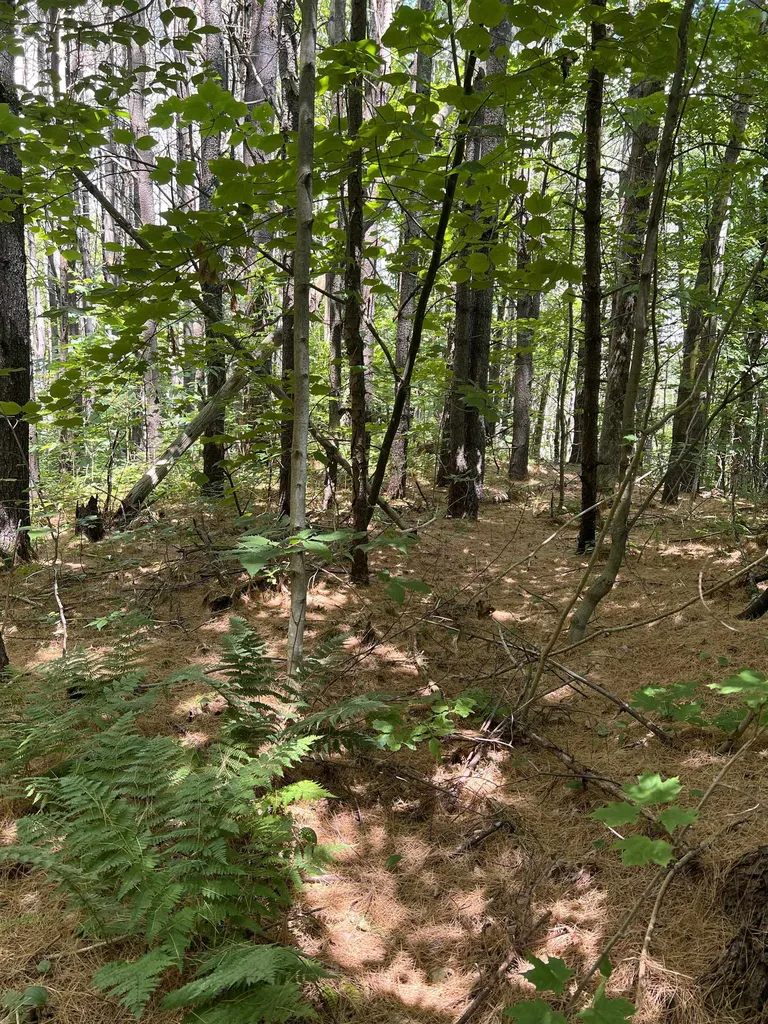 0 O'neil Lane Strafford VT 05072