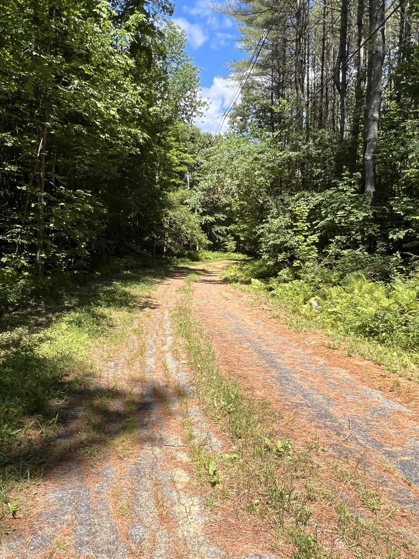 0 O'neil Lane Strafford VT 05072