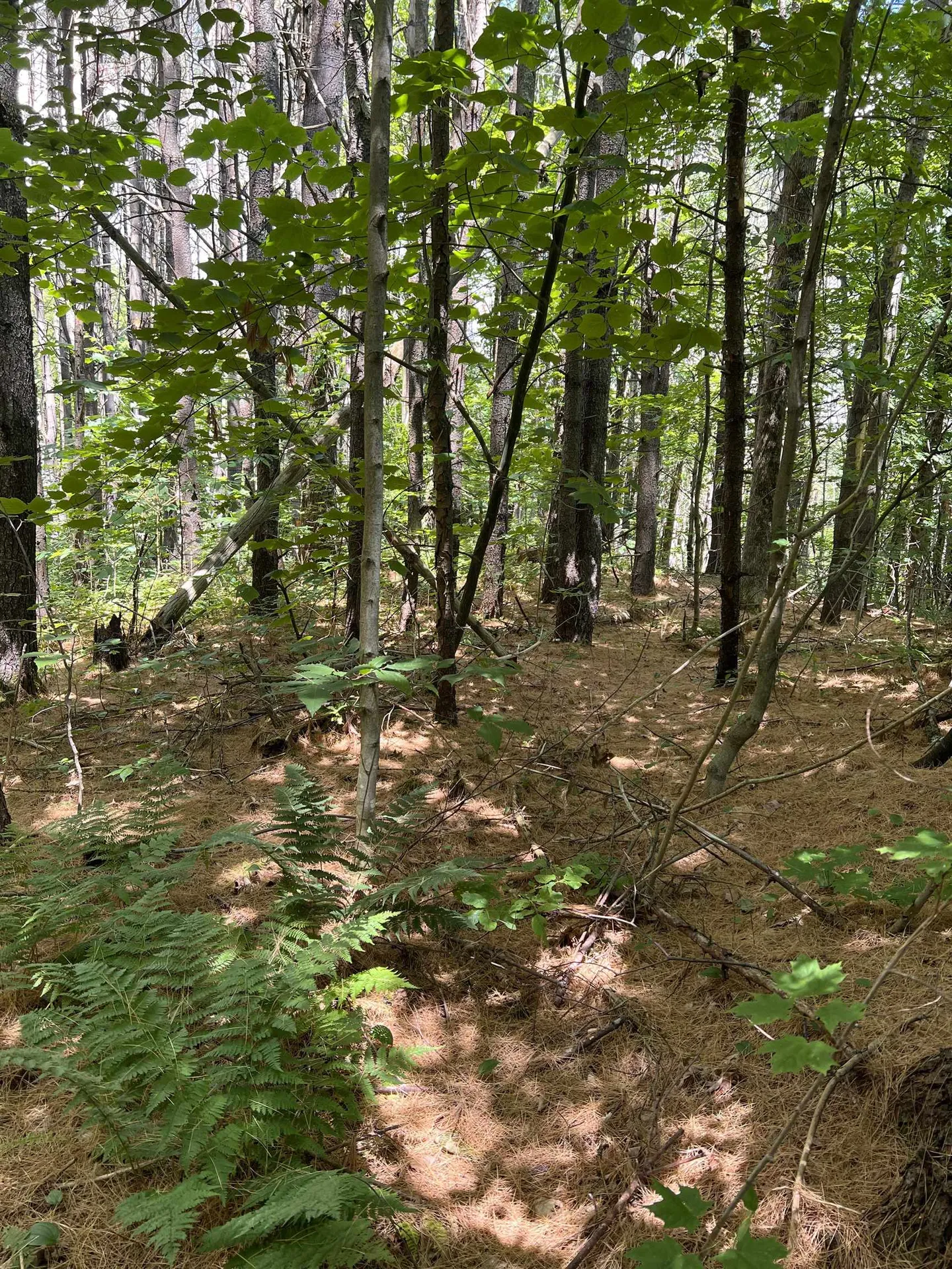 0 O'neil Lane Strafford VT 05072