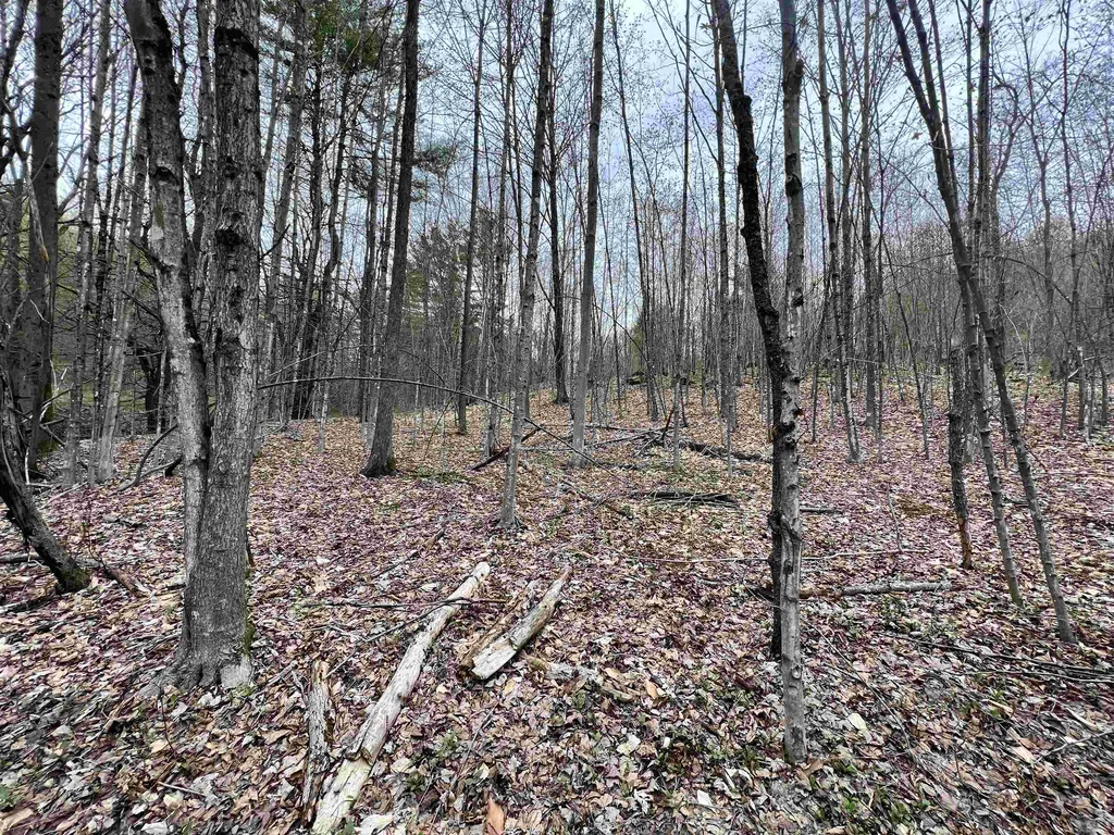 11 Blanchard Road Strafford VT 05072