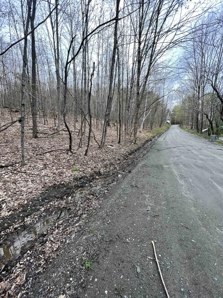 11 Blanchard Road Strafford VT 05072