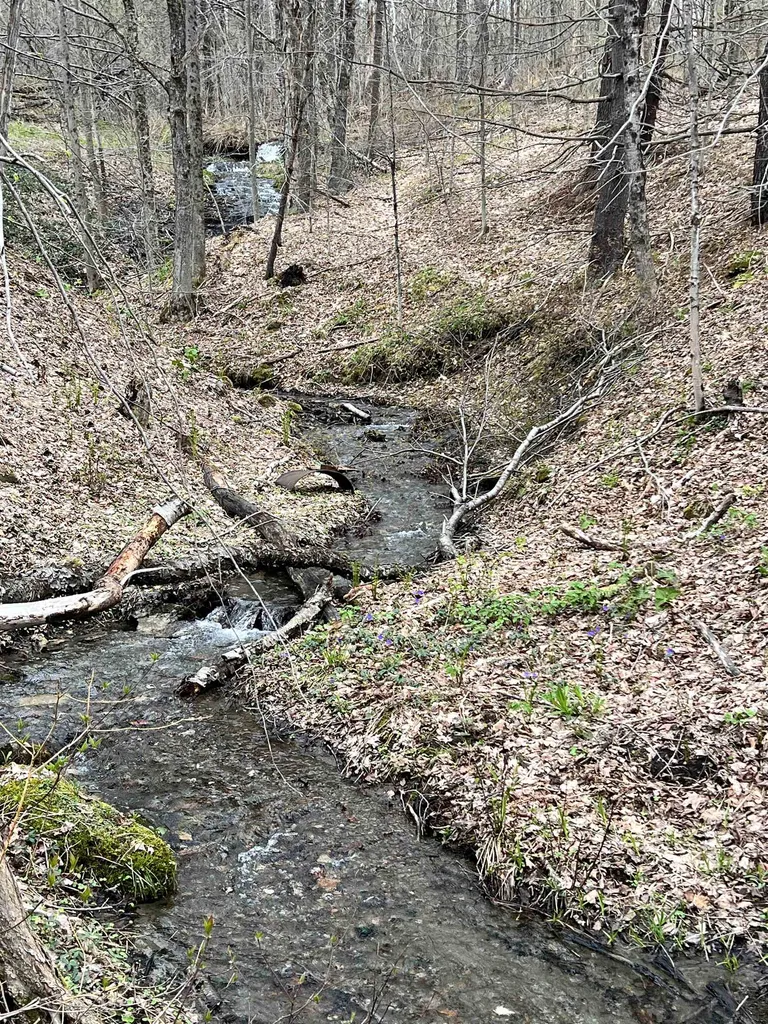 11 Blanchard Road Strafford VT 05072