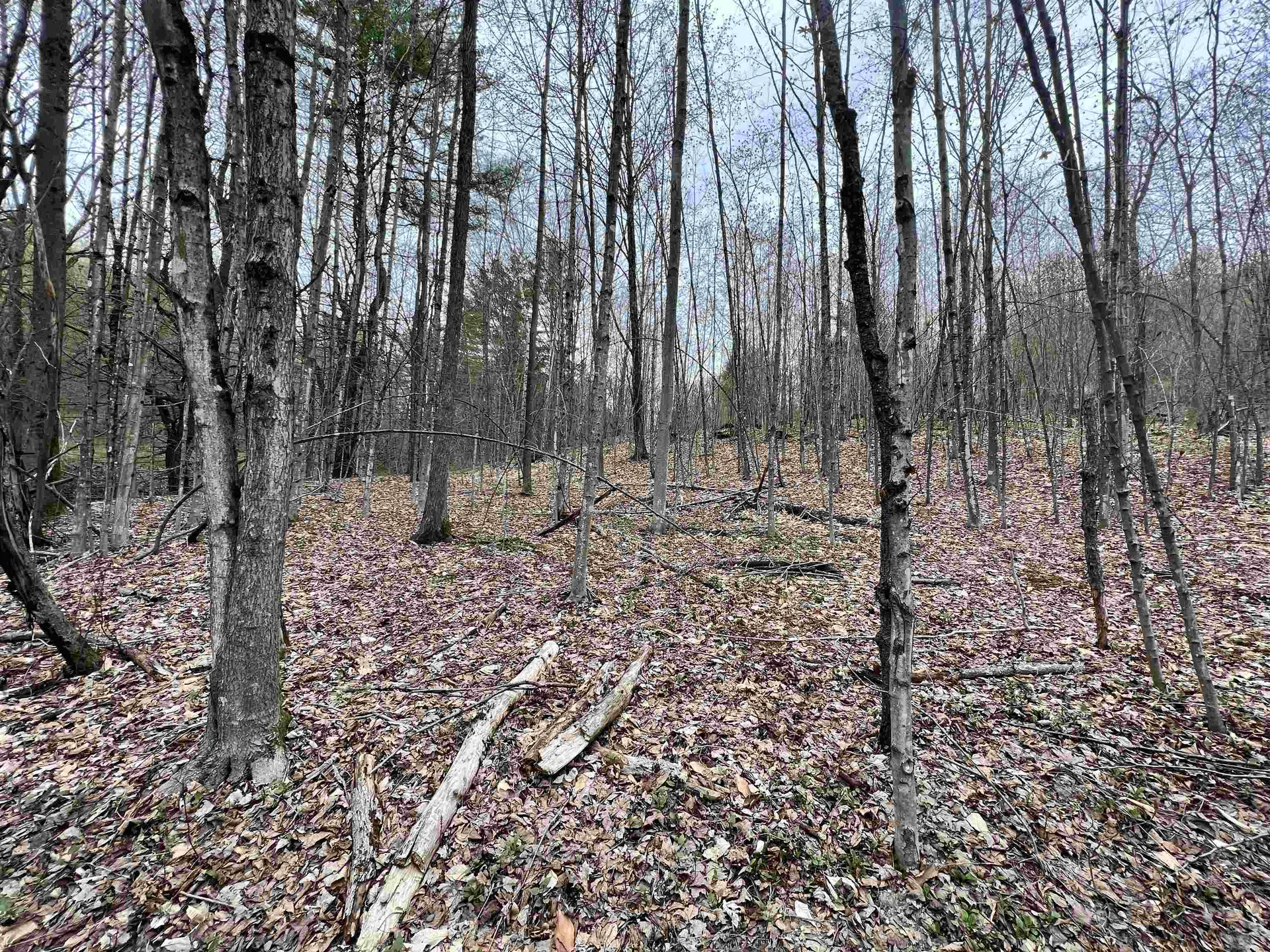 11 Blanchard Road Strafford VT 05072