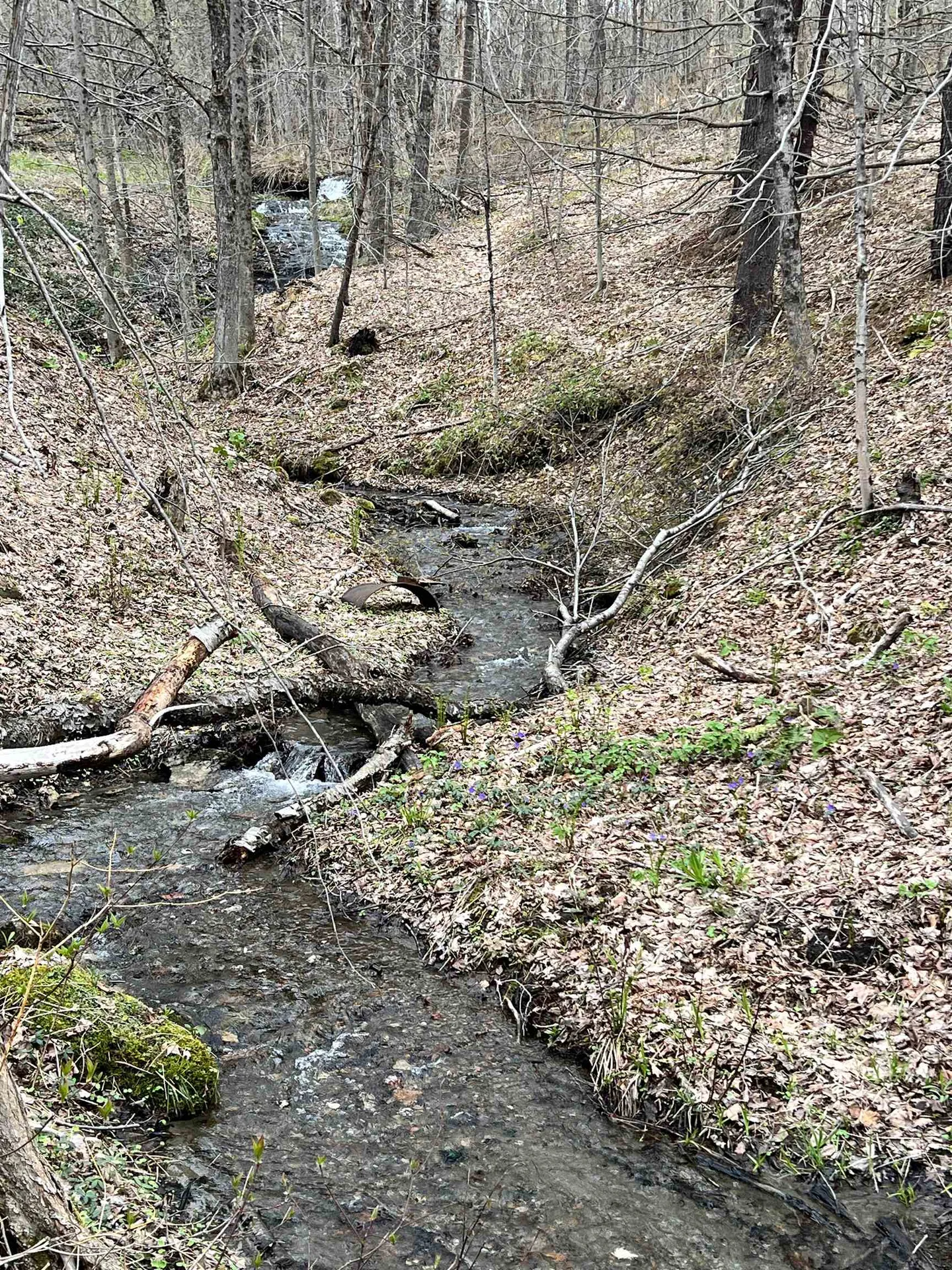 11 Blanchard Road Strafford VT 05072
