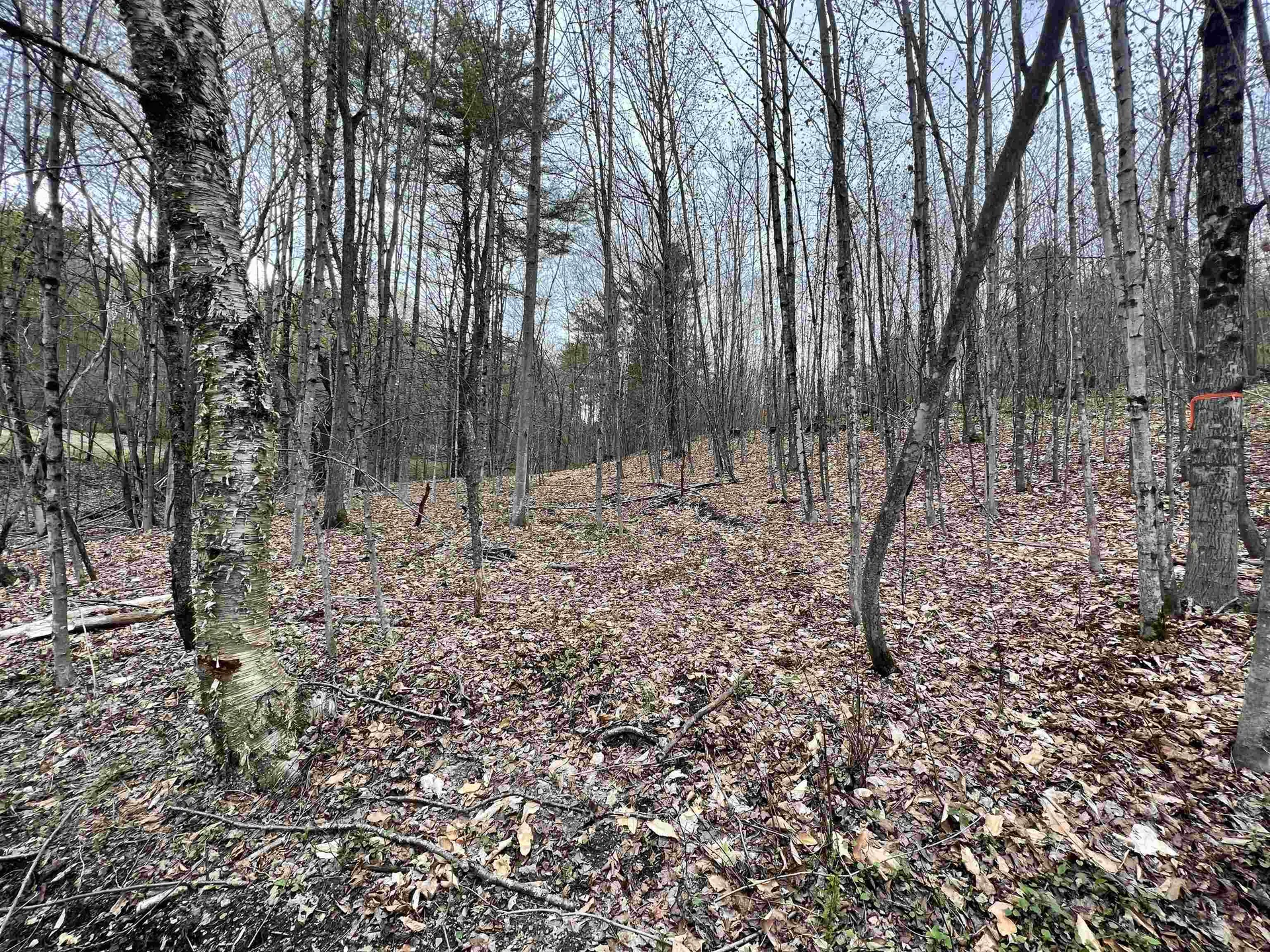 11 Blanchard Road Strafford VT 05072