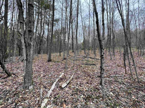 11 Blanchard Road Strafford VT 05072