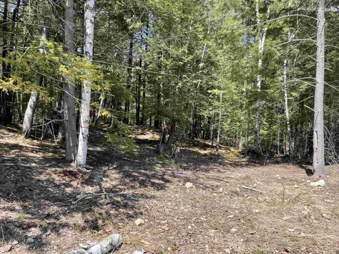 92 Thurley Road Ossipee NH 03814