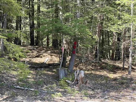 92 Thurley Road Ossipee NH 03814