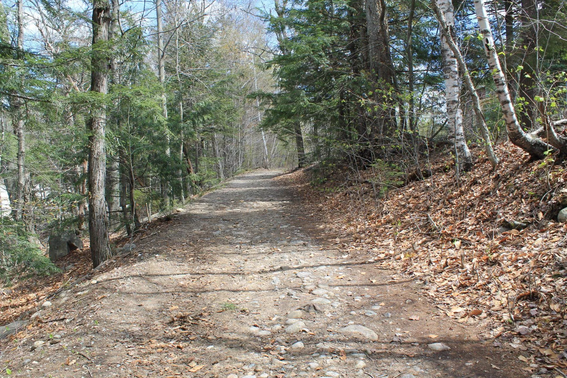 27 Riverside Terrace Drive Lincoln NH 03251