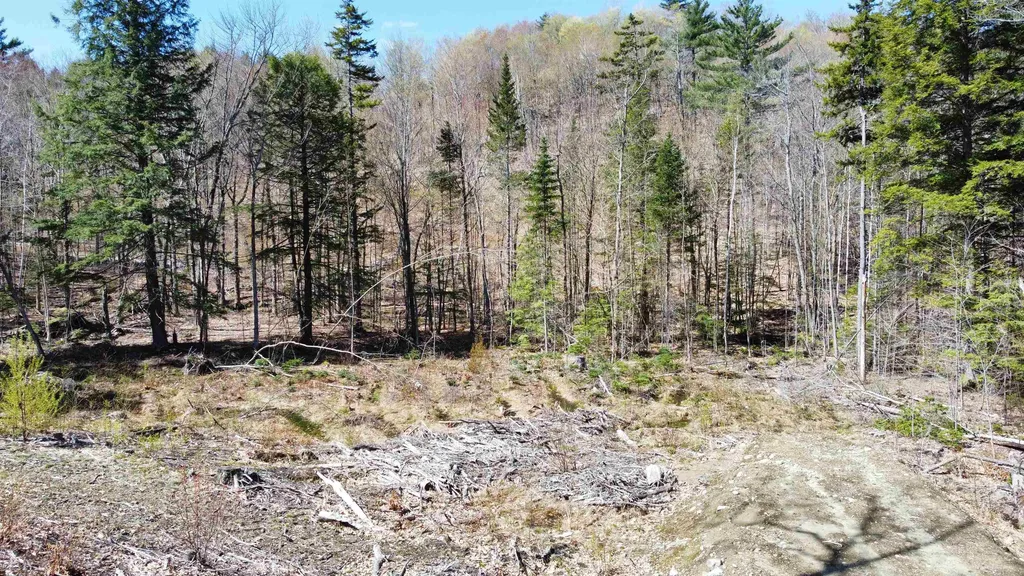 667 Murray Hill Road Hill NH 03243