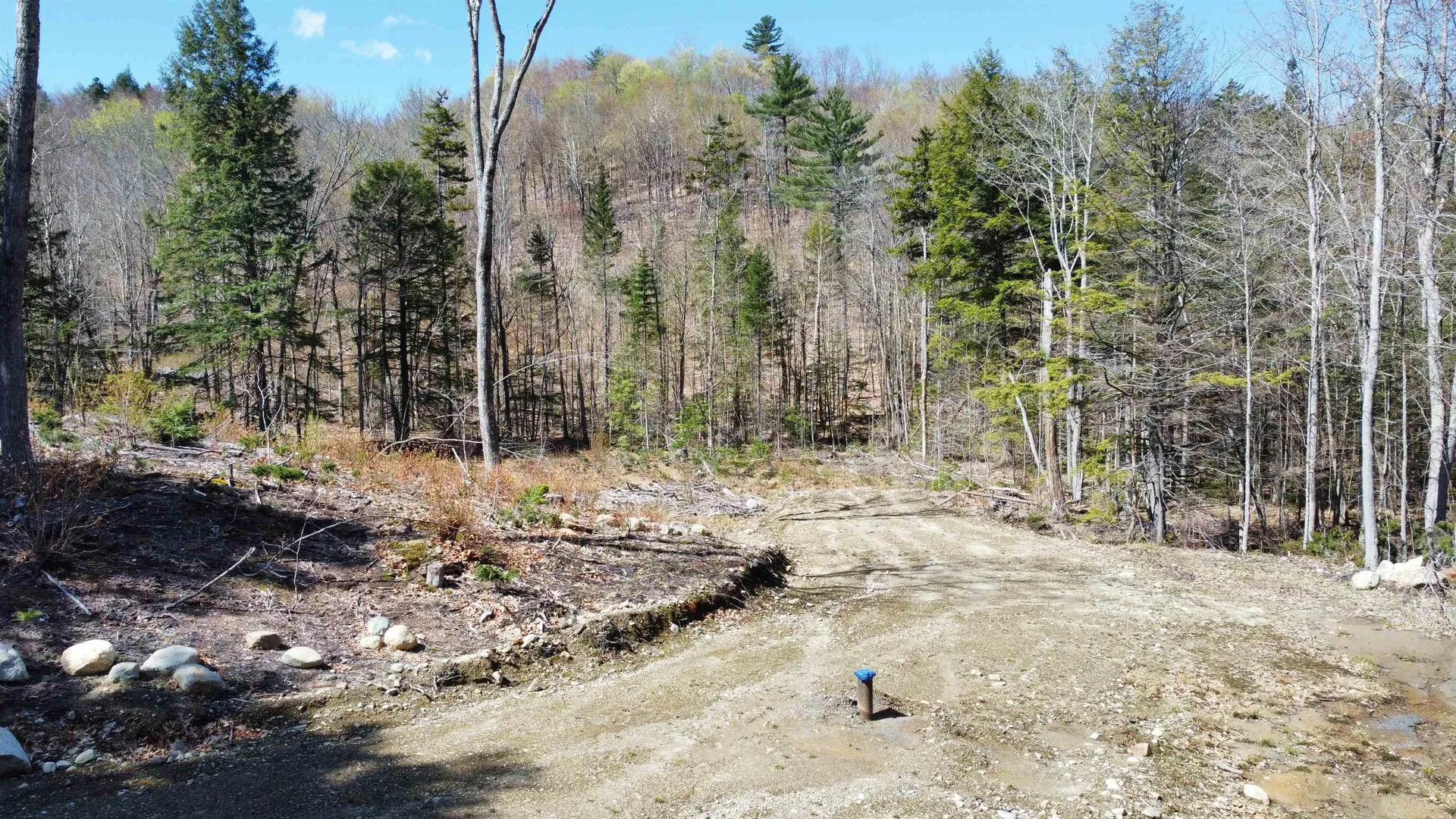 667 Murray Hill Road Hill NH 03243