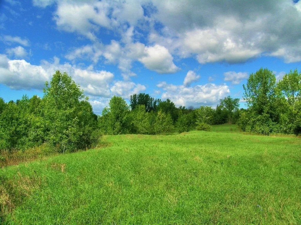 Lot 7 Terrapin Lane Alburgh VT 05440