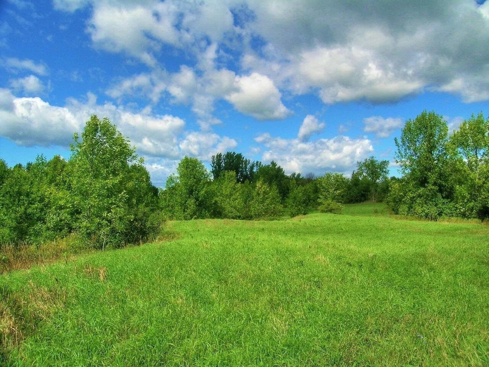 Lot 7 Terrapin Lane Alburgh VT 05440