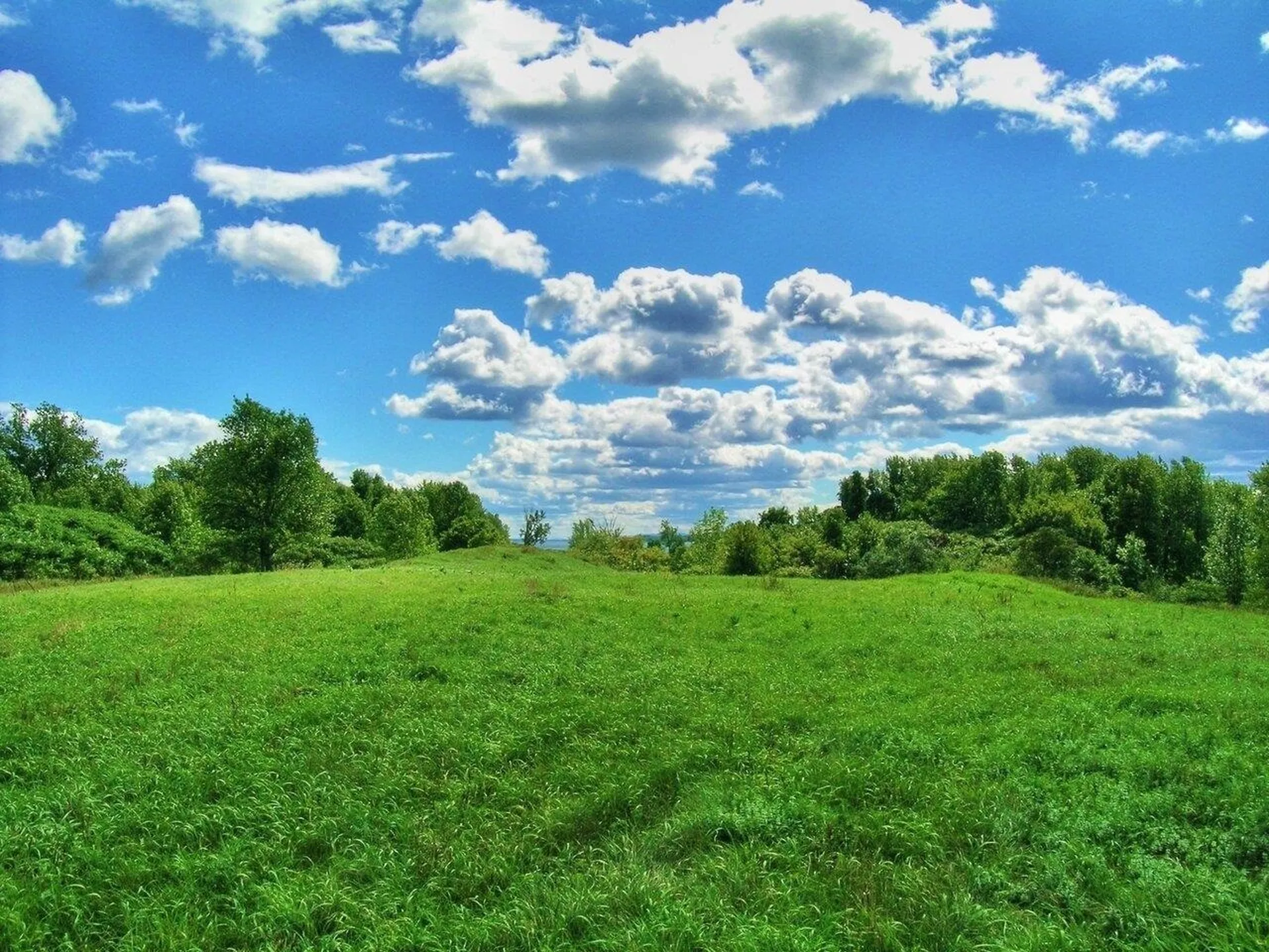 Lot 7 Terrapin Lane Alburgh VT 05440
