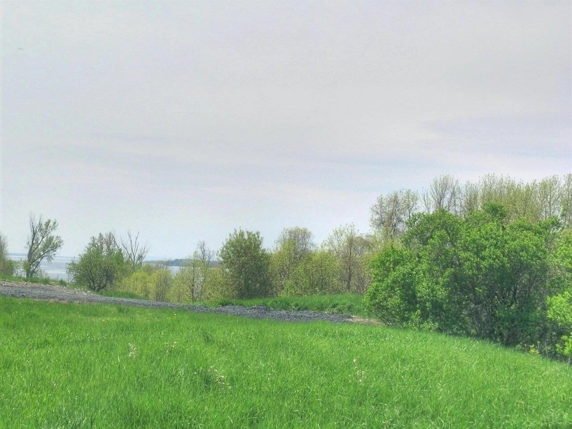 Lot 7 Terrapin Lane Alburgh VT 05440
