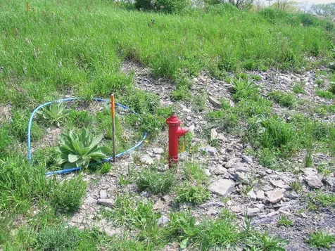 Lot 7 Terrapin Lane Alburgh VT 05440