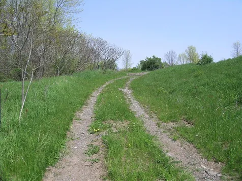 Lot 7 Terrapin Lane Alburgh VT 05440