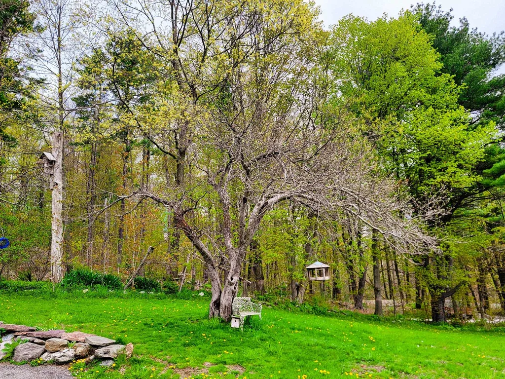 1081 Pond Road Hinesburg VT 05461