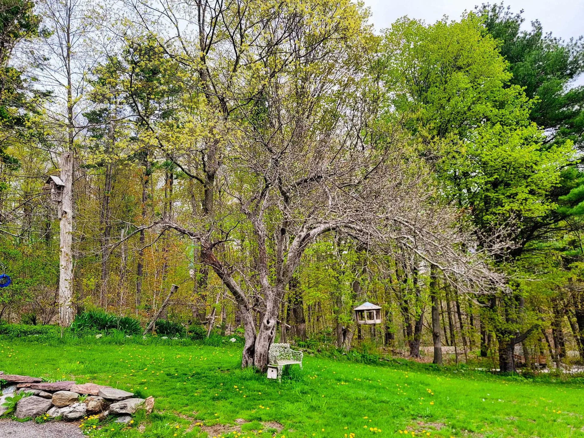 1081 Pond Road Hinesburg VT 05461