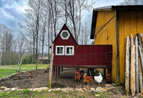 1510 County Road Glover VT 05875
