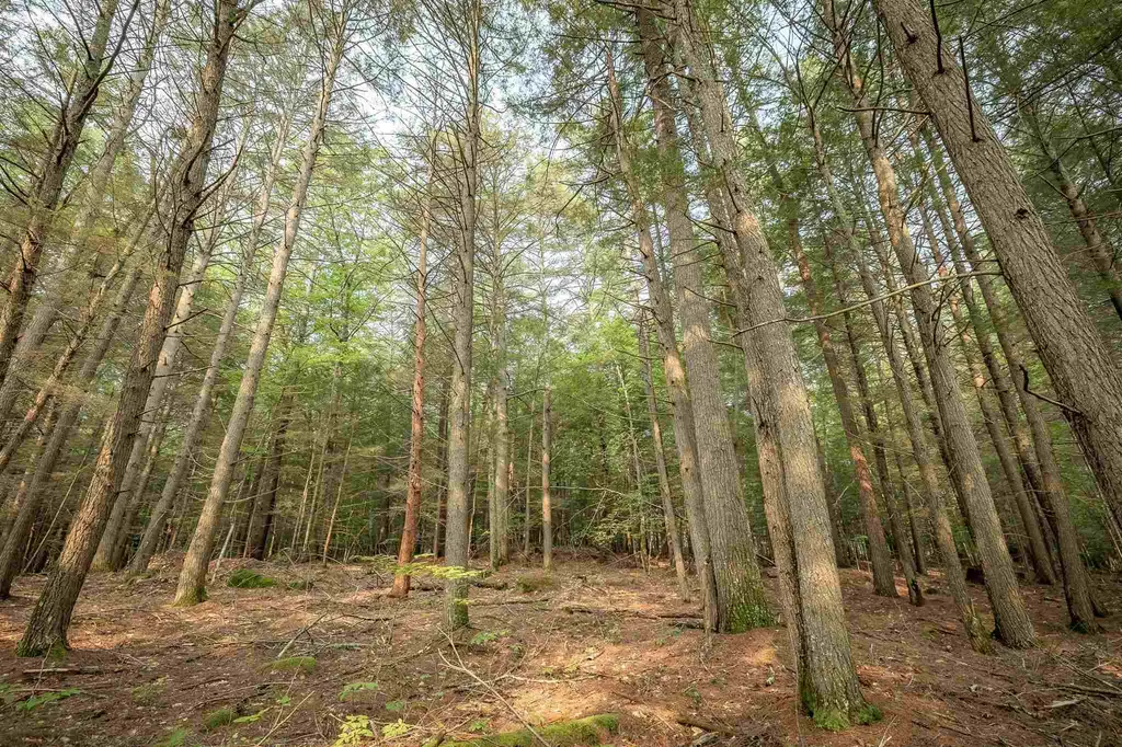 00 Profile Place Tuftonboro NH 03816