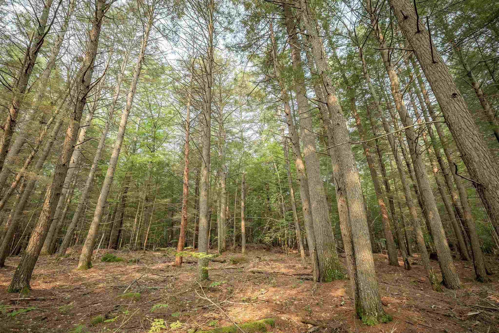 00 Profile Place Tuftonboro NH 03816