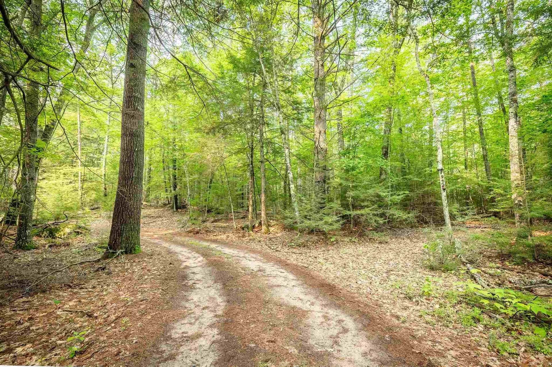 00 Profile Place Tuftonboro NH 03816