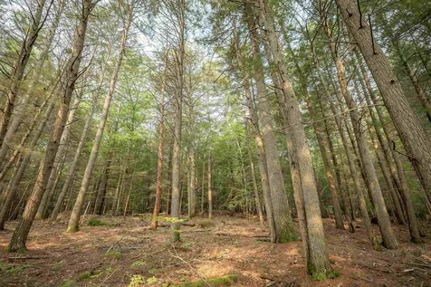 00 Profile Place Tuftonboro NH 03816
