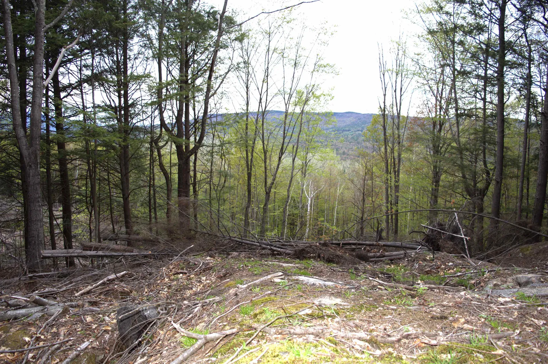 Mosquito Schoolhouse Road Newport NH 03773