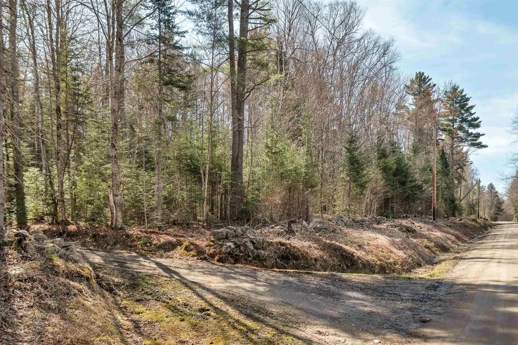 Cape Moonshine Road Piermont NH 03779