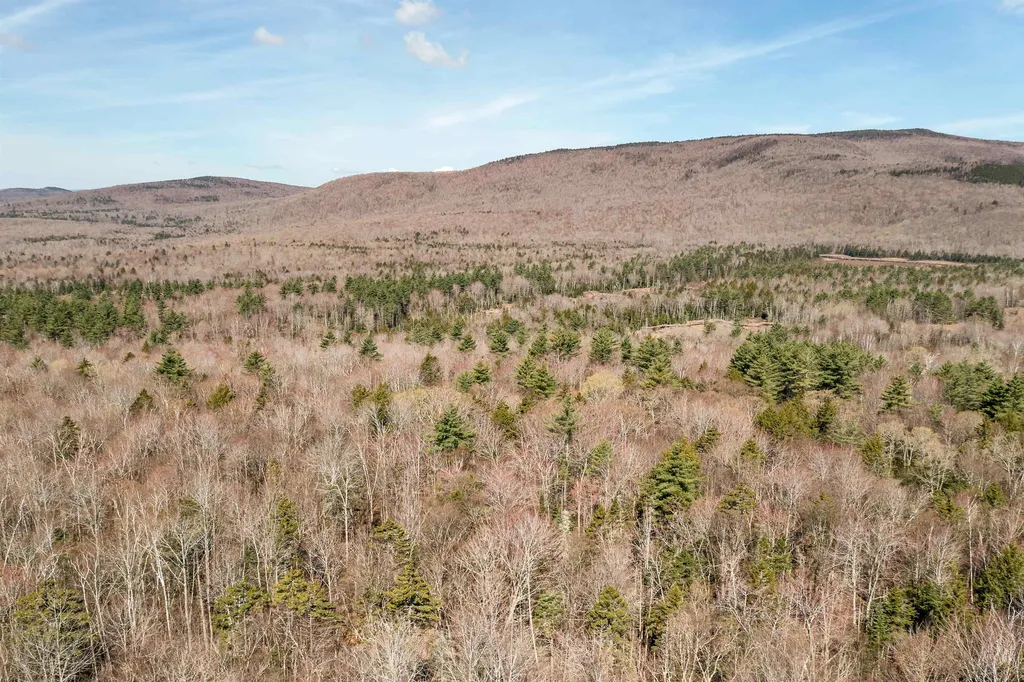 Cape Moonshine Road Piermont NH 03779