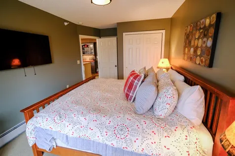 42 Harrison Lane Ludlow VT 05149