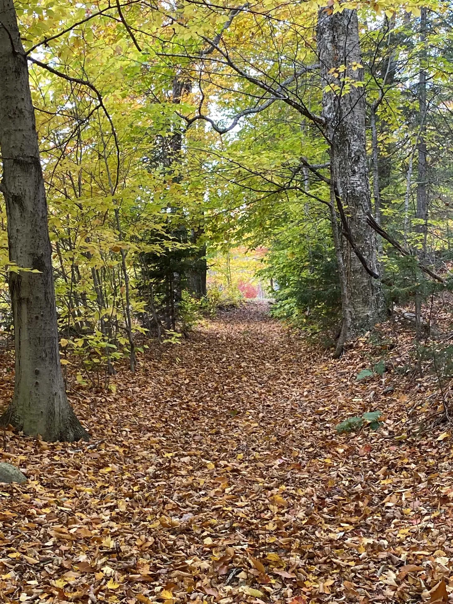 114 Evergreen Acres Ludlow VT 05149