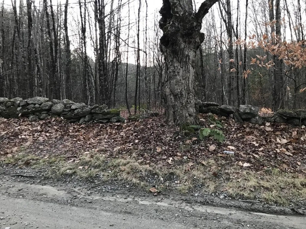 48 Valley Cemetery Road Athens VT 05143