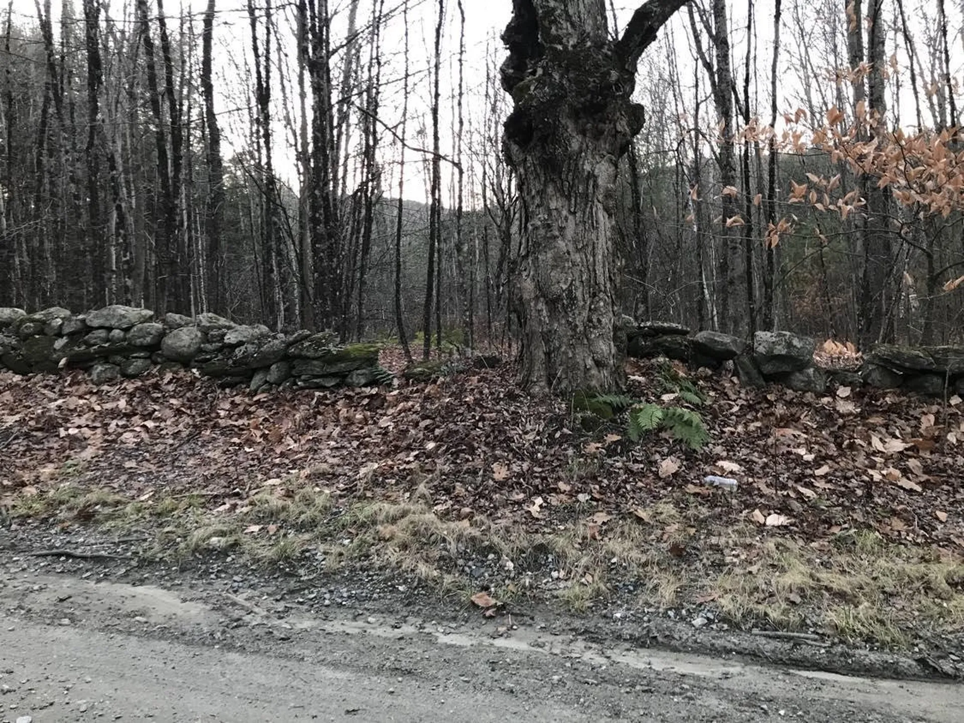 48 Valley Cemetery Road Athens VT 05143