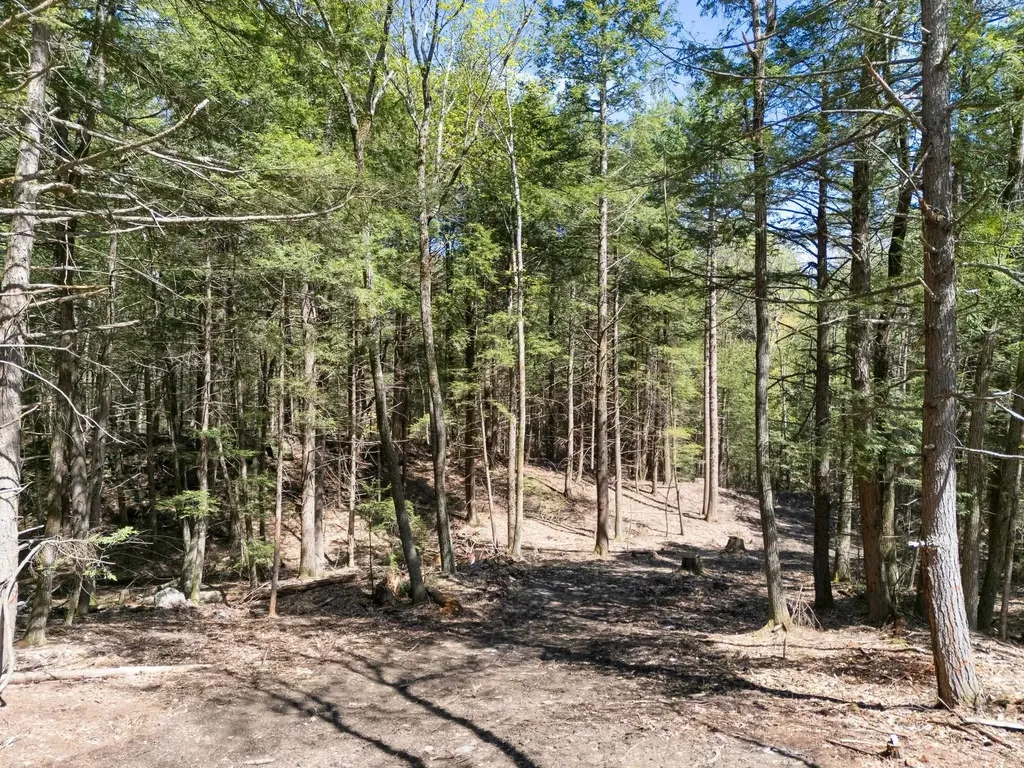 0 Old Ledge Road Westminster VT 05159