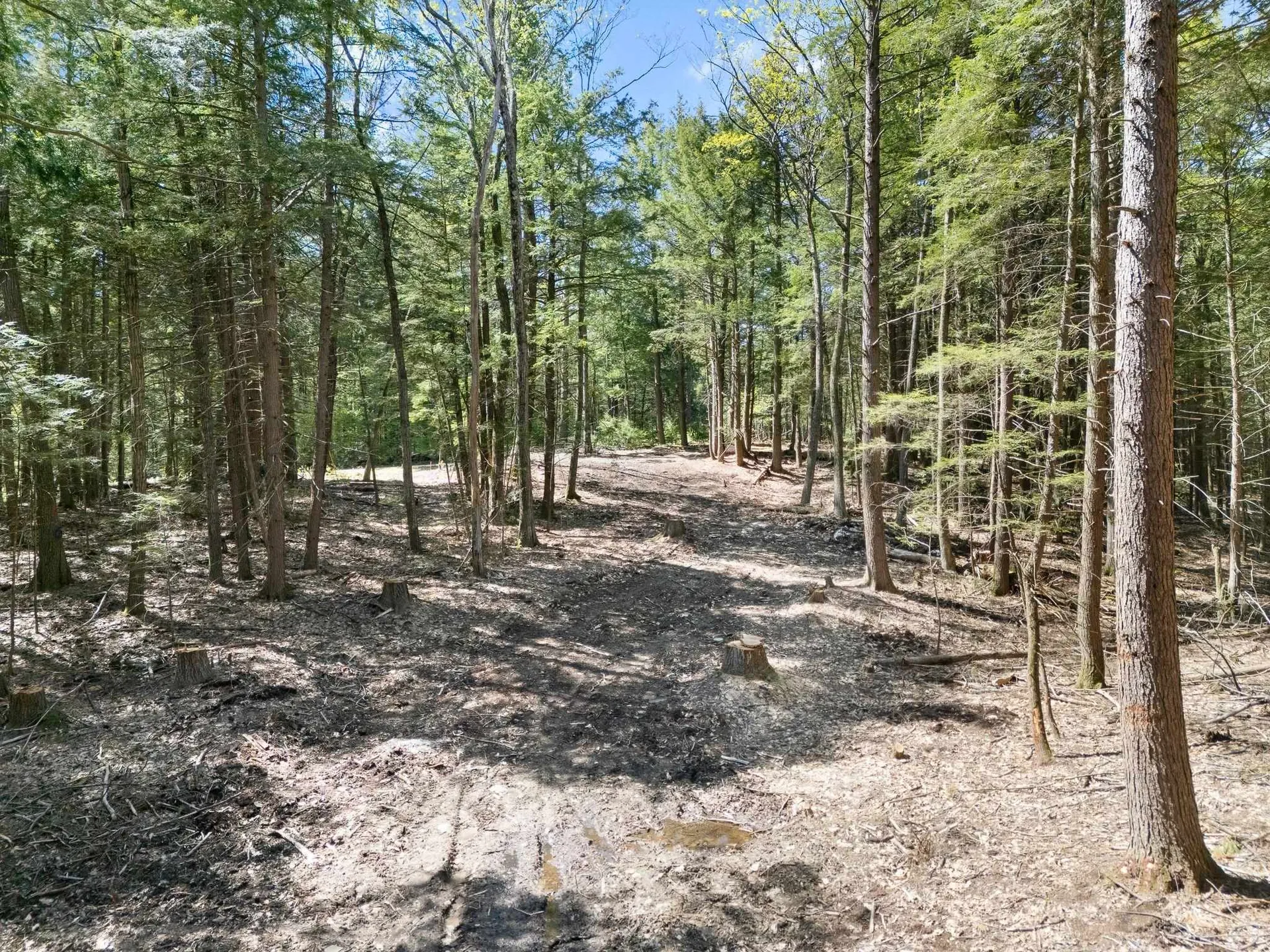 0 Old Ledge Road Westminster VT 05159