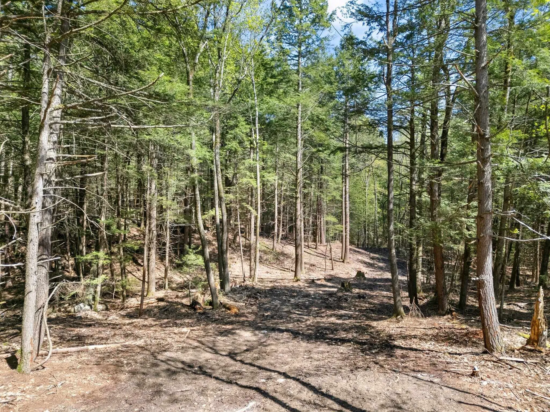 0 Old Ledge Road Westminster VT 05159