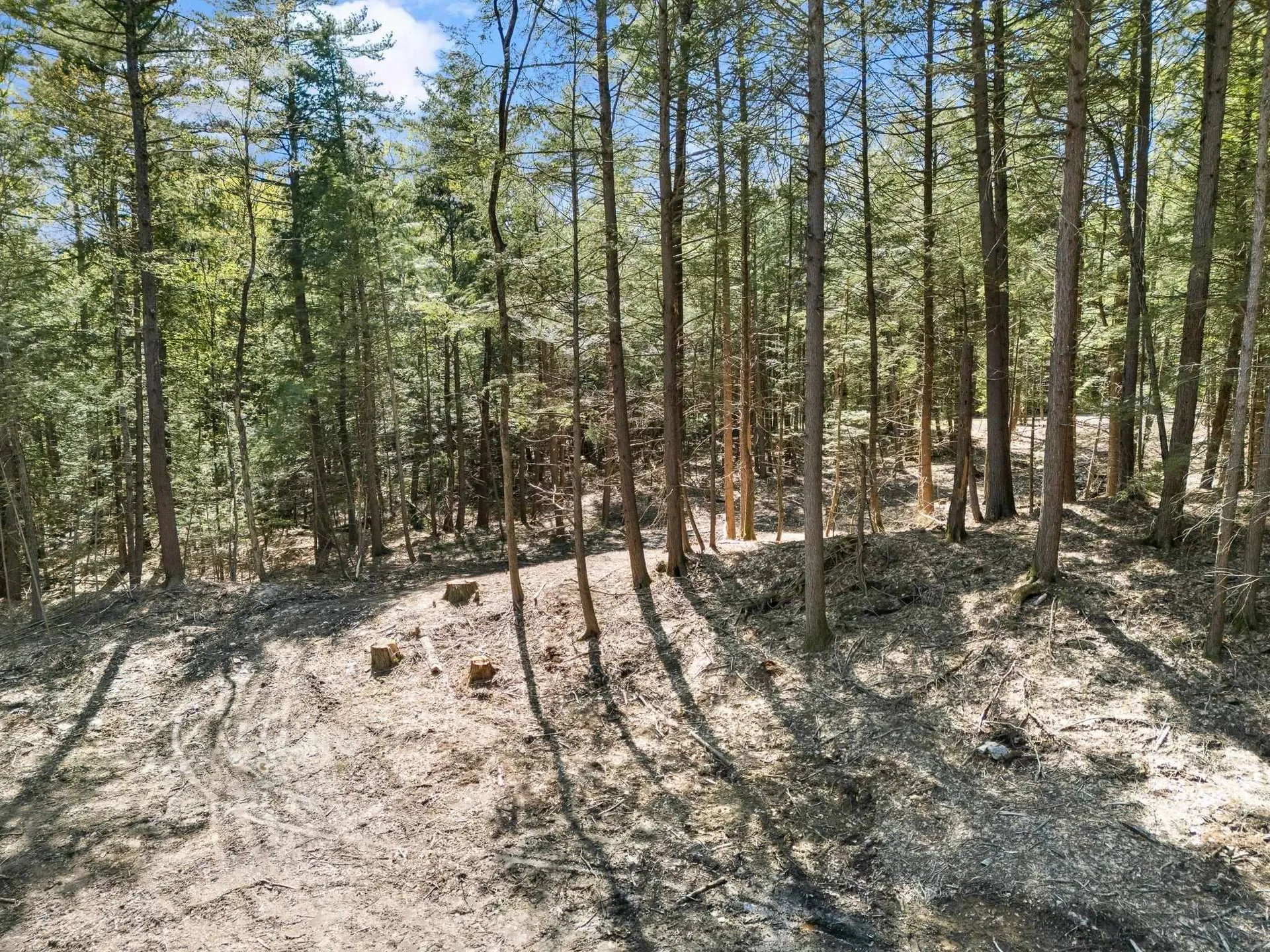 0 Old Ledge Road Westminster VT 05159