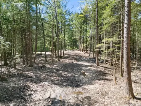 0 Old Ledge Road Westminster VT 05159