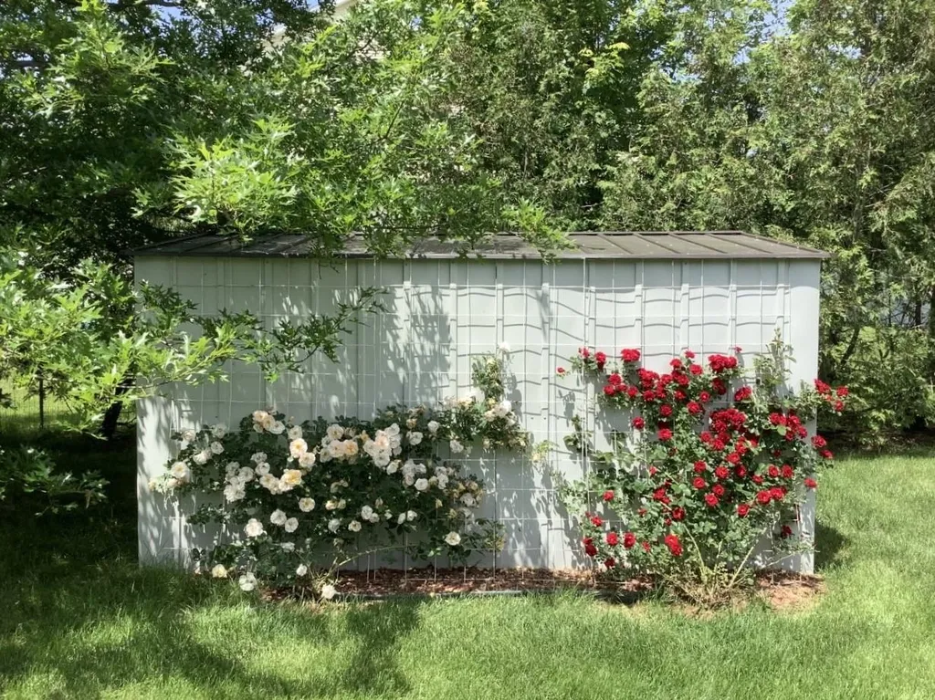 9 Catkin Drive South Burlington VT 05403